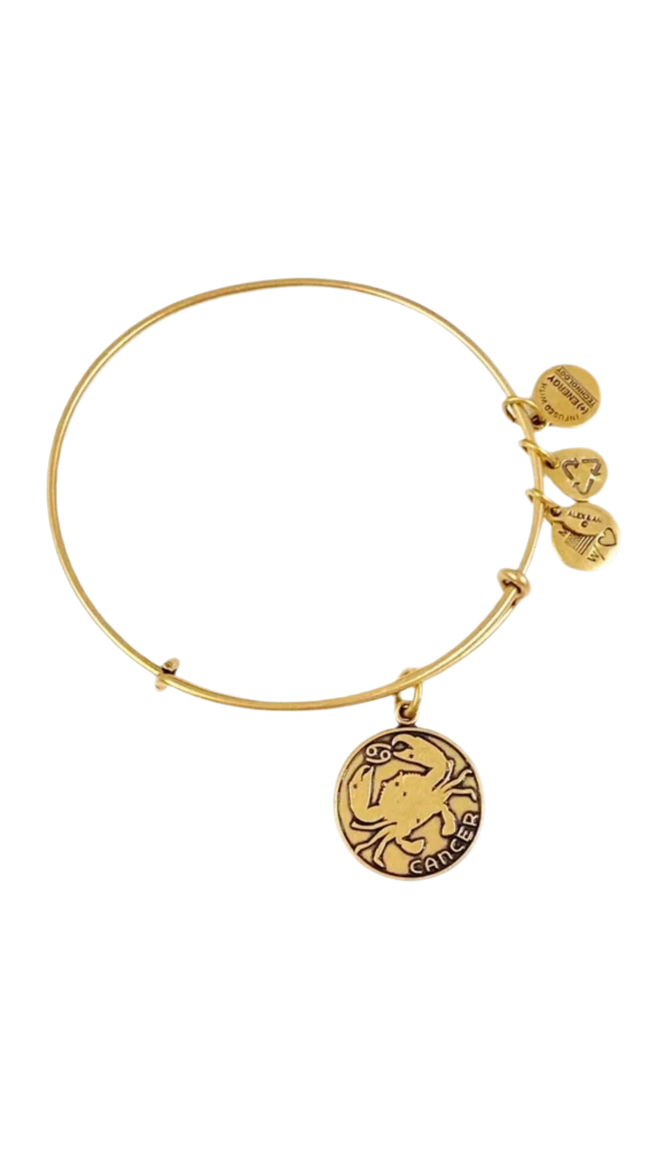 Alex and Ani - Cancer Zodiac Charm Bracelet Bangle, June 21 to July 22