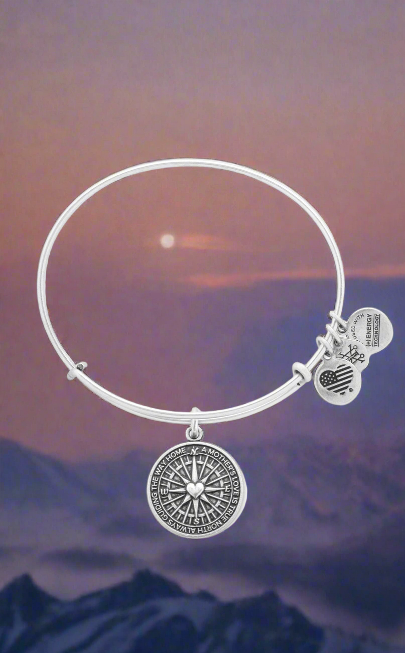Alex and Ani - True Direction Compass Charm Bangle Bracelet