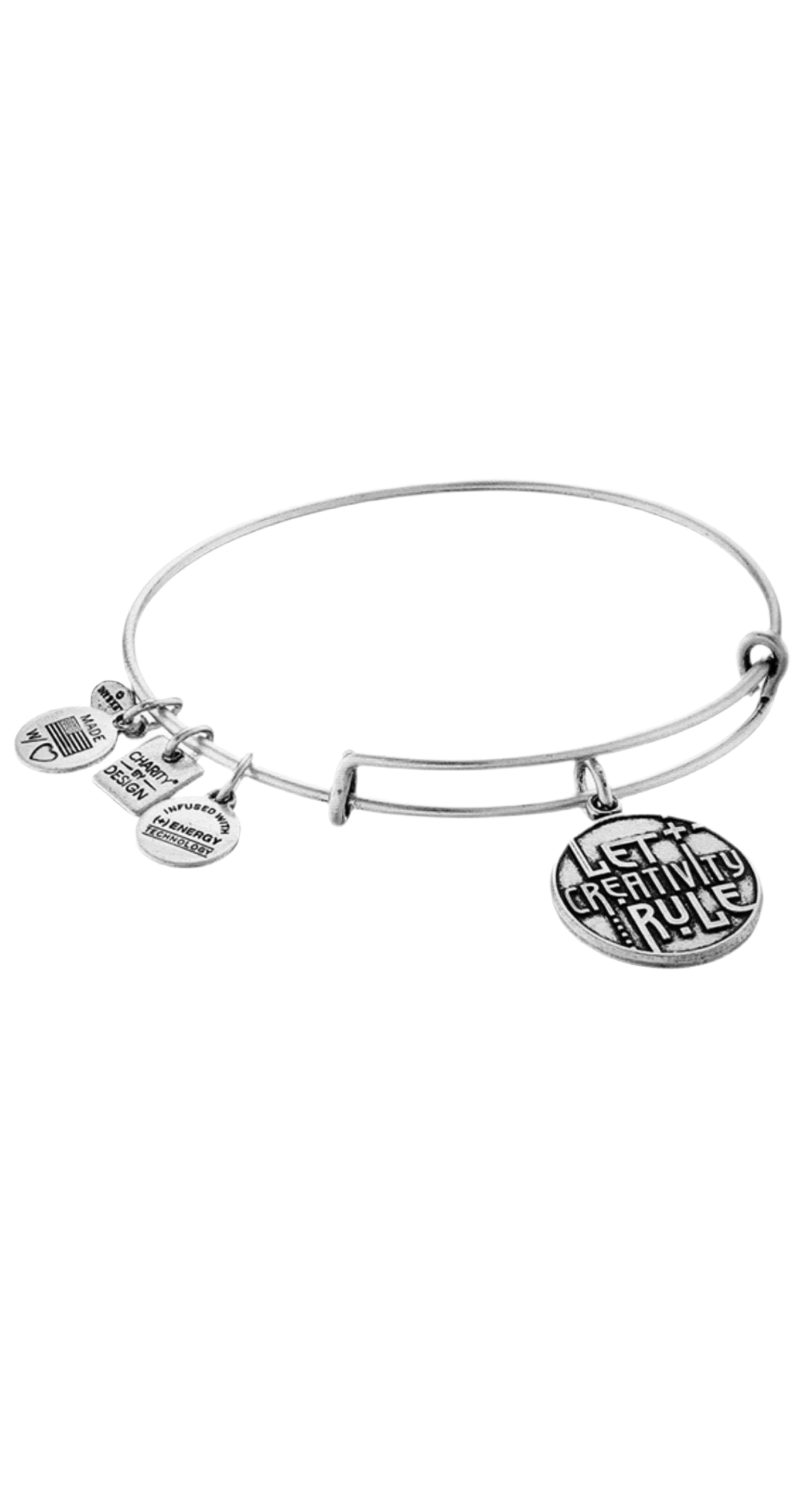 Alex and Ani - Let Creativity Rule Charm Bangle Bracelet, Charity By Design, Rafaelian Silver, Adjustable, Collectable Gift for Her, EUC