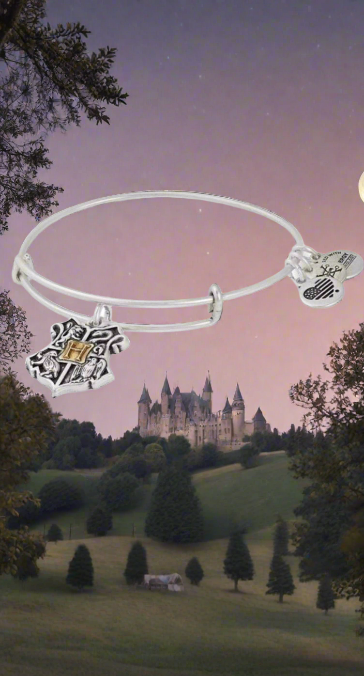 Alex and Ani - Harry Potter Hogwarts Charm Bangle Bracelet