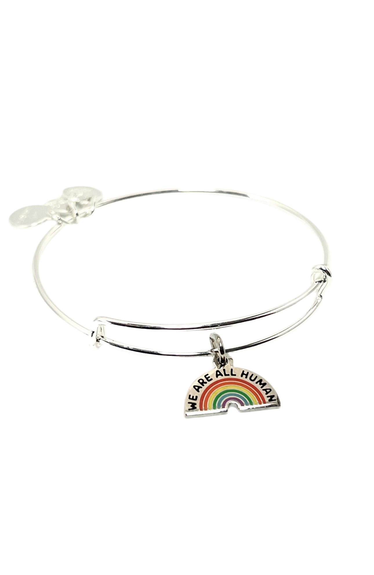 Alex and Ani - “We Are All Human” Color Infusion Rainbow Charm Bracelet