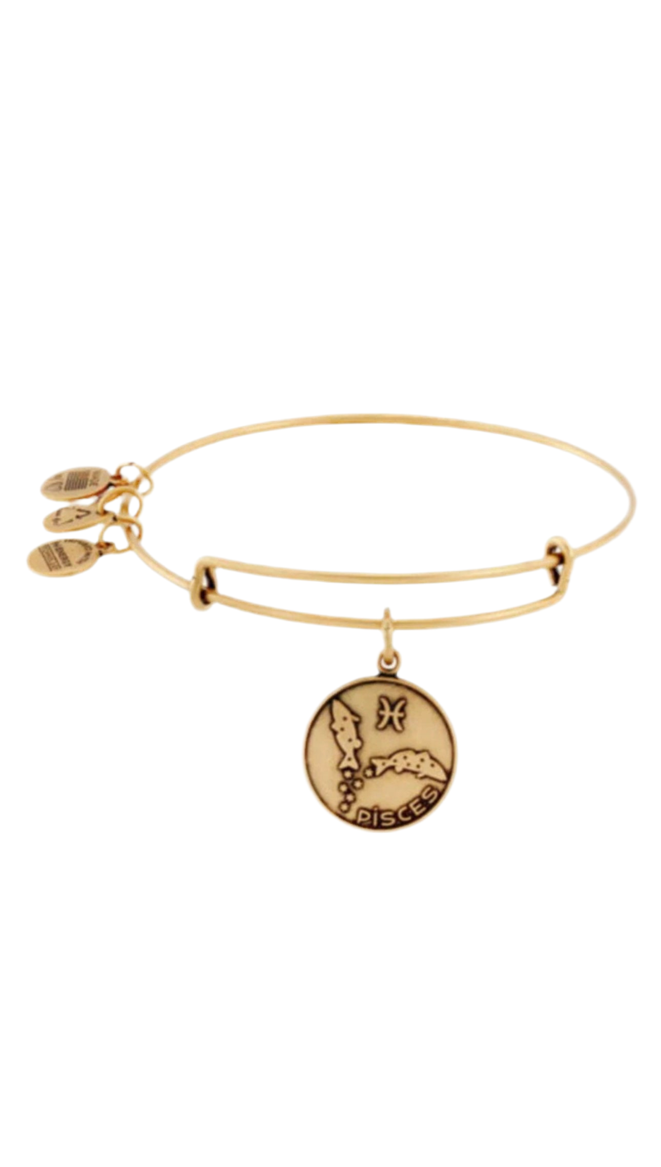 Alex and Ani - Pisces Zodiac Charm (February 19 - March 20) Bangle Bracelet, 3 Styles