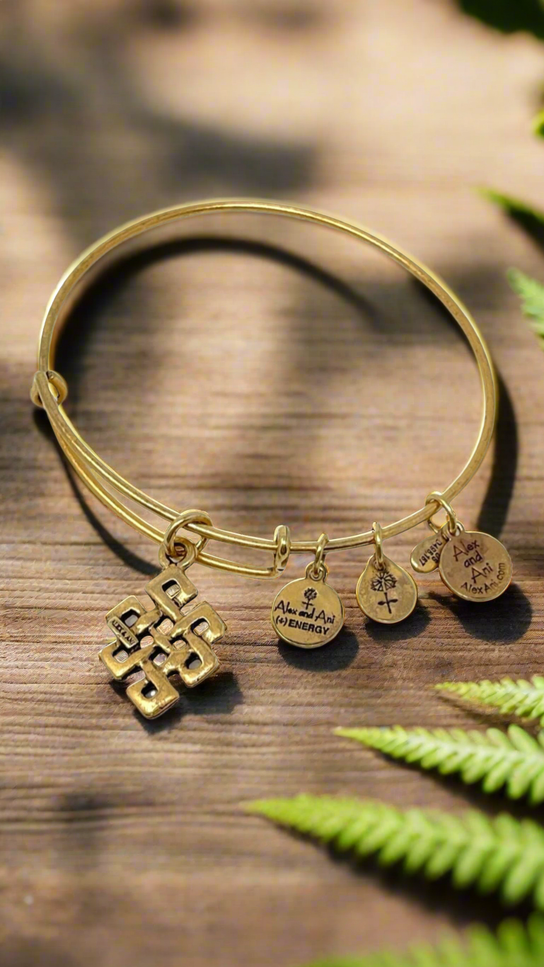 Alex and Ani - Endless Knot Charm Bangle Bracelet