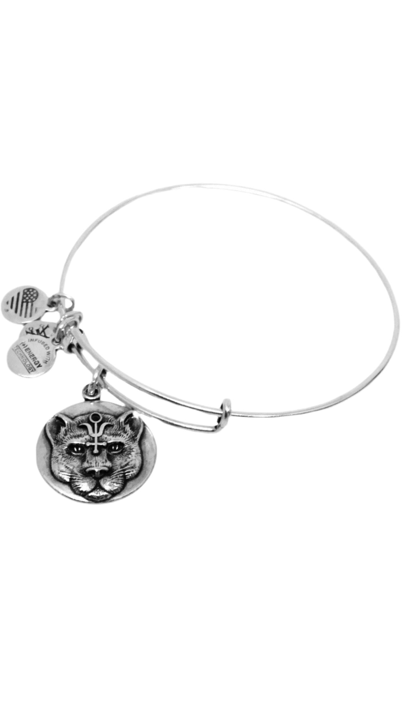 Alex and Ani - Wild Heart Charm Bangle Bracelet