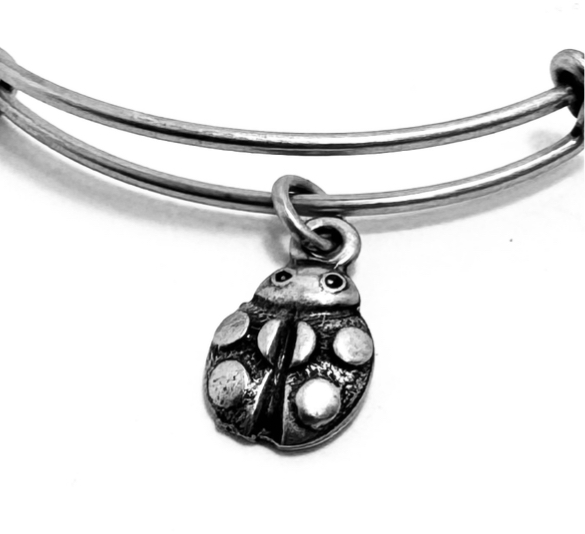 Alex and Ani - The Lady Bug Charm Bangle Bracelet