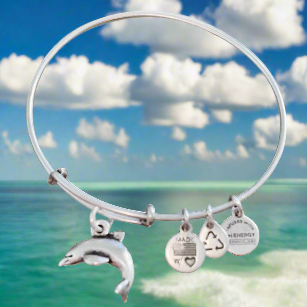 Alex and Ani Dolphin Charm Bangle Bracelet