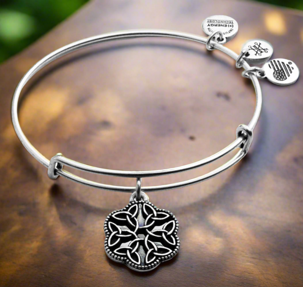 Alex and Ani - Endless Knot III Charm Bangle Bravelt