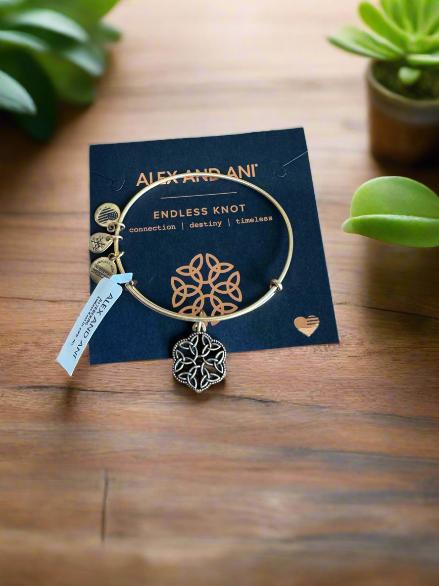 Alex and Ani - Endless Knot III Charm Bangle Bravelt