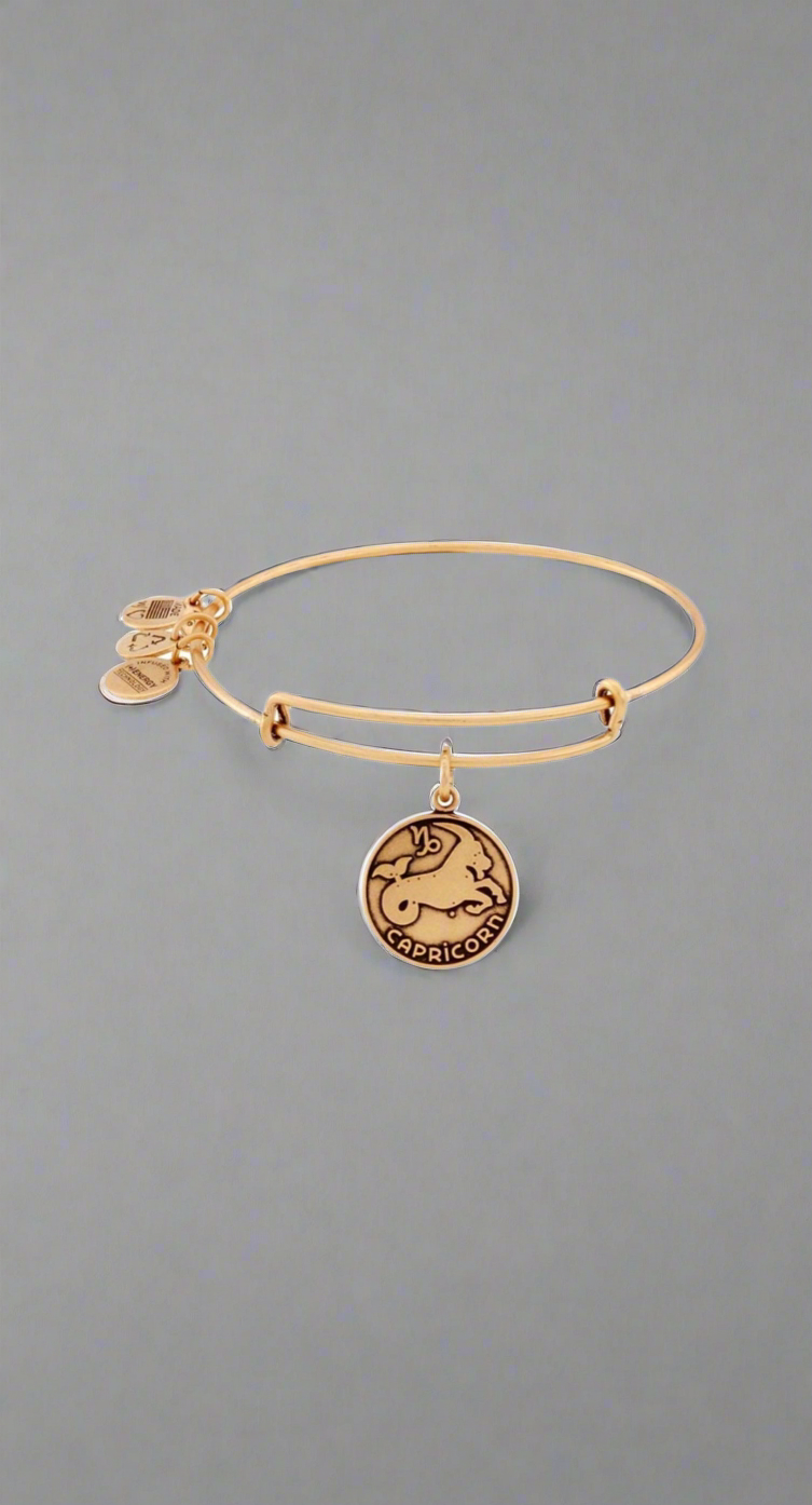 Alex and Ani - Capricorn, 12/21-01/20, Zodiac Sign Charm Bangle Bracelet