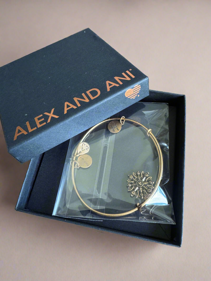 Alex and Ani - Silver Smaller Sized Compass Charm Bangle Bracelet