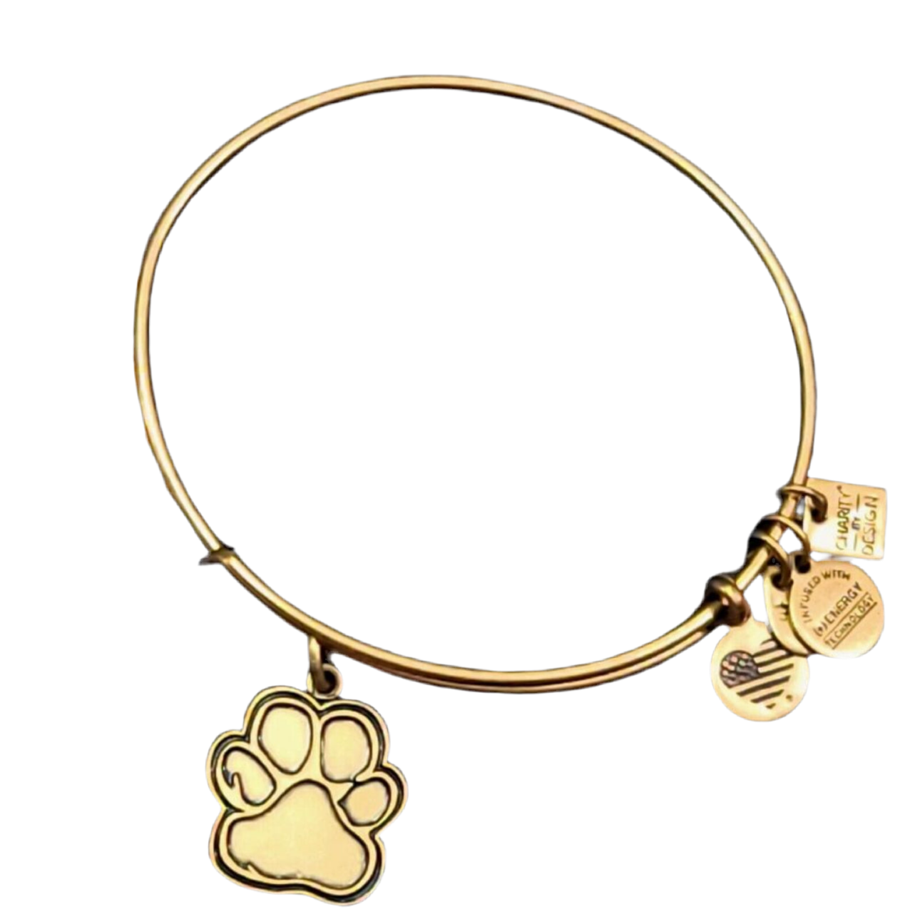 Alex and Ani - Prints of Love Charm Bangle