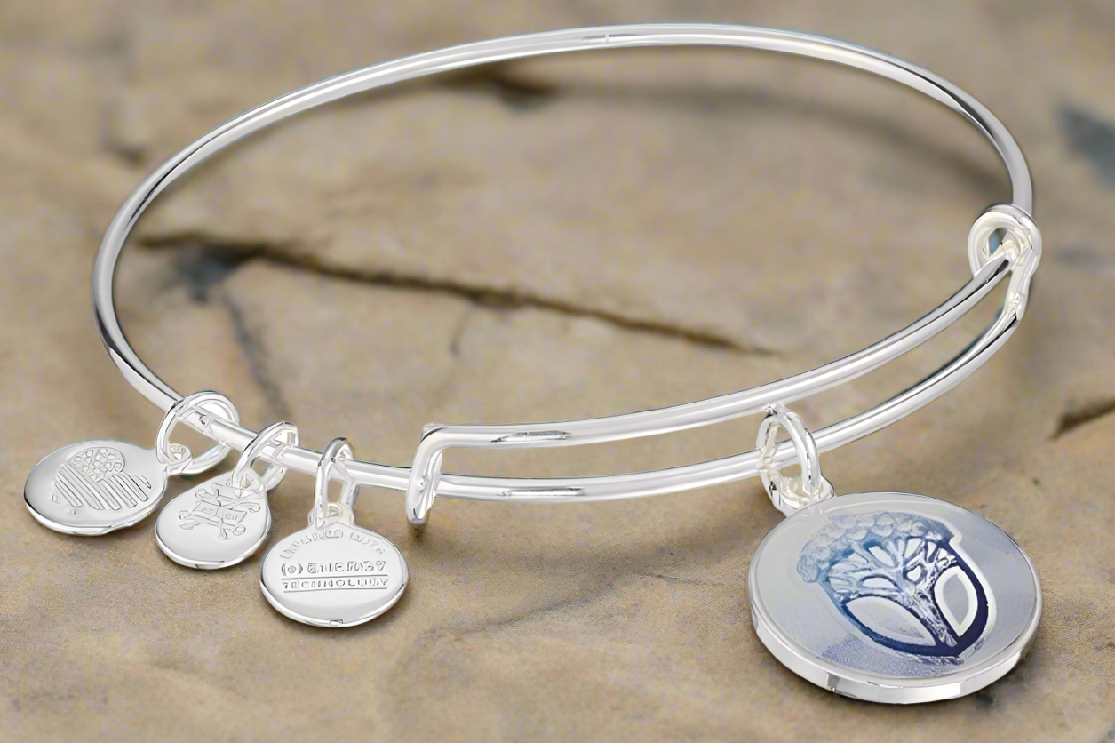 Alex and Ani - Unexpected Miracles Blue Charm Art Infused Rafaelian Silver Bangle Bracelet