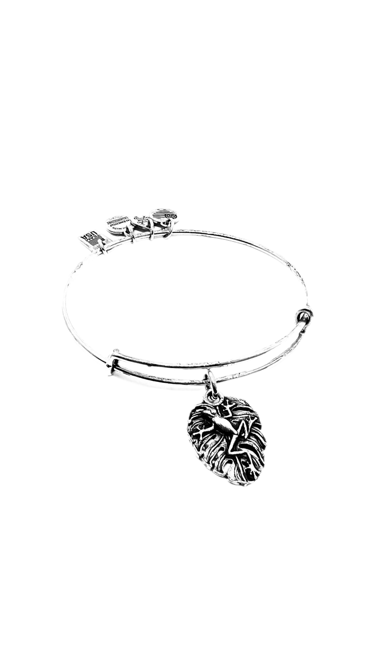 Alex and Ani - Tree Frog Charm Bangle Bracelet