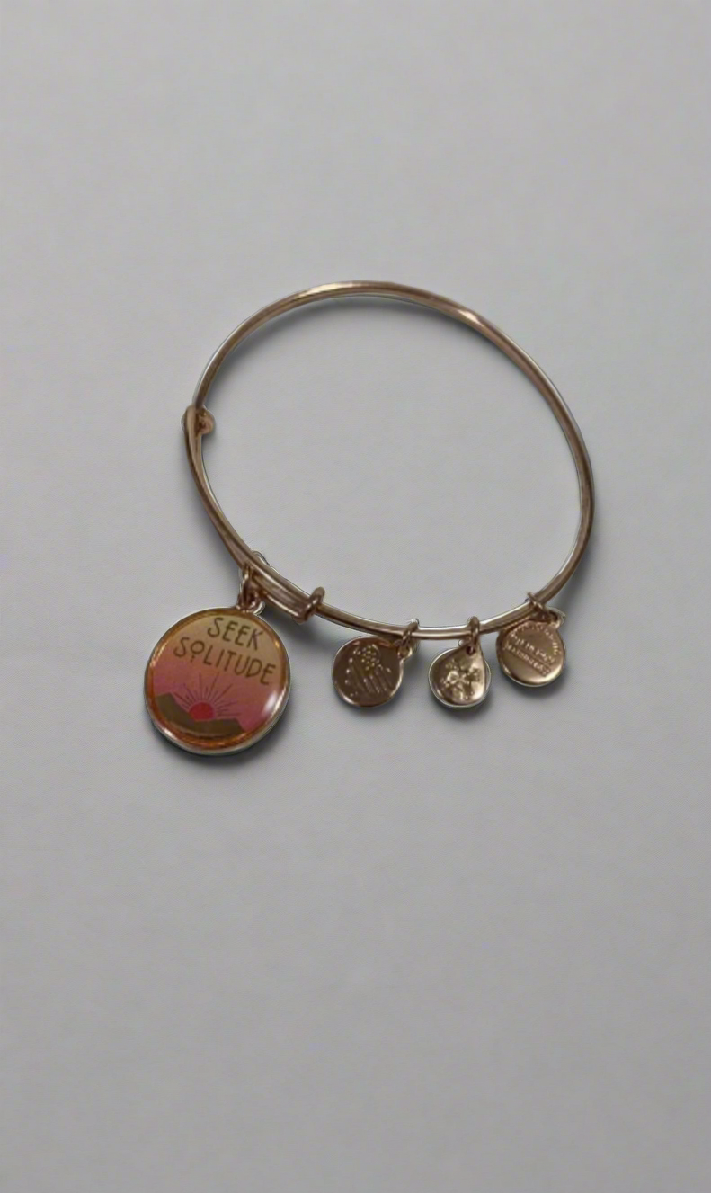 Alex and Ani - Seek Solitude Charm Bangle Bracelet