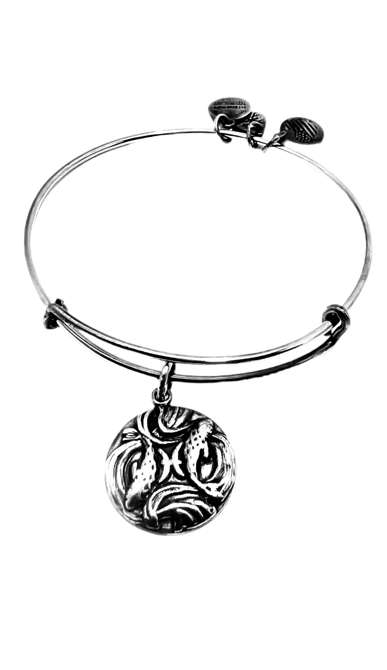 Alex and Ani - Pisces Zodiac Charm (February 19 - March 20) Bangle Bracelet