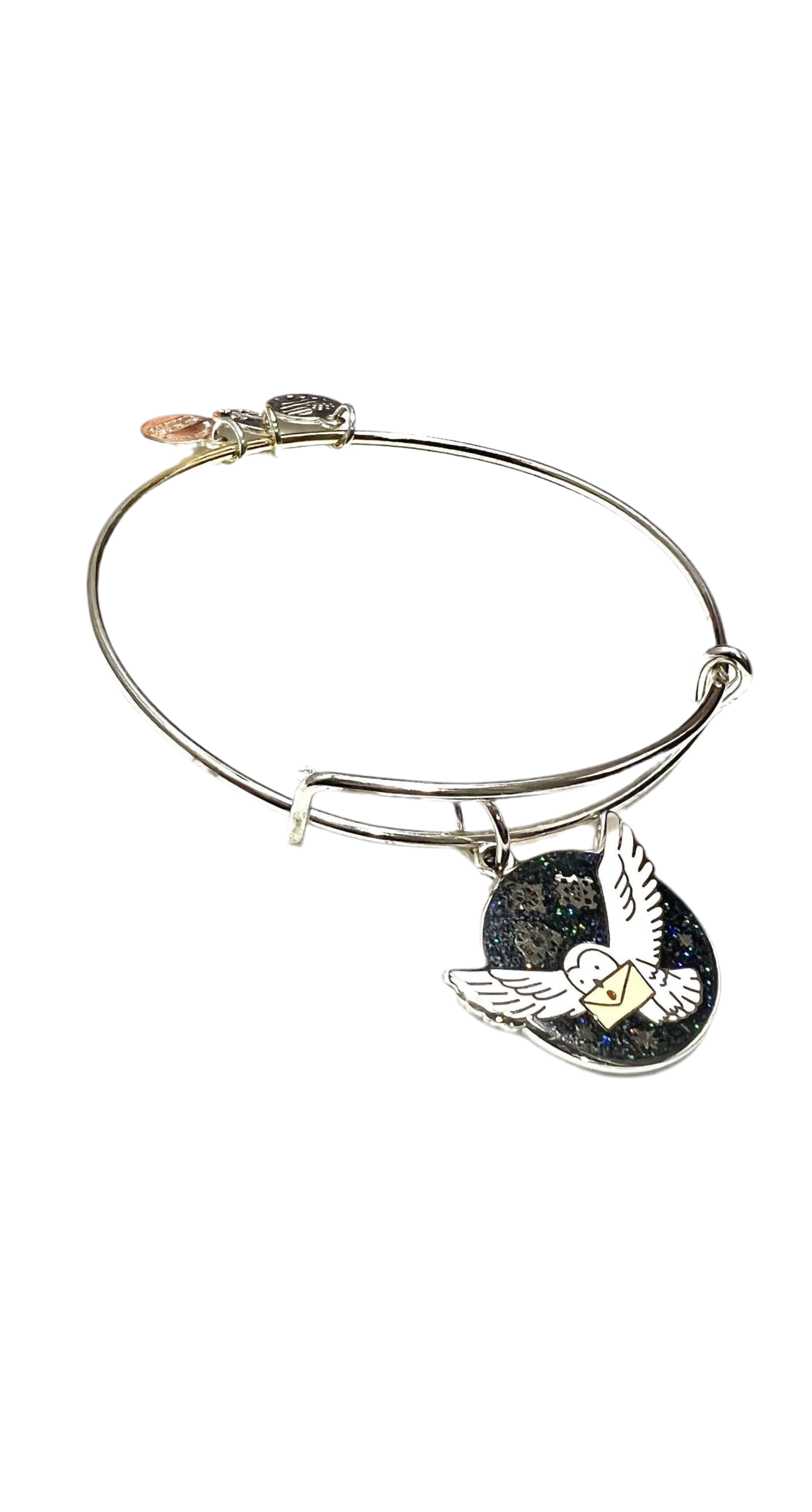 Alex and Ani - Harry Potter’s Owl Post Charm Bangle Bracelet