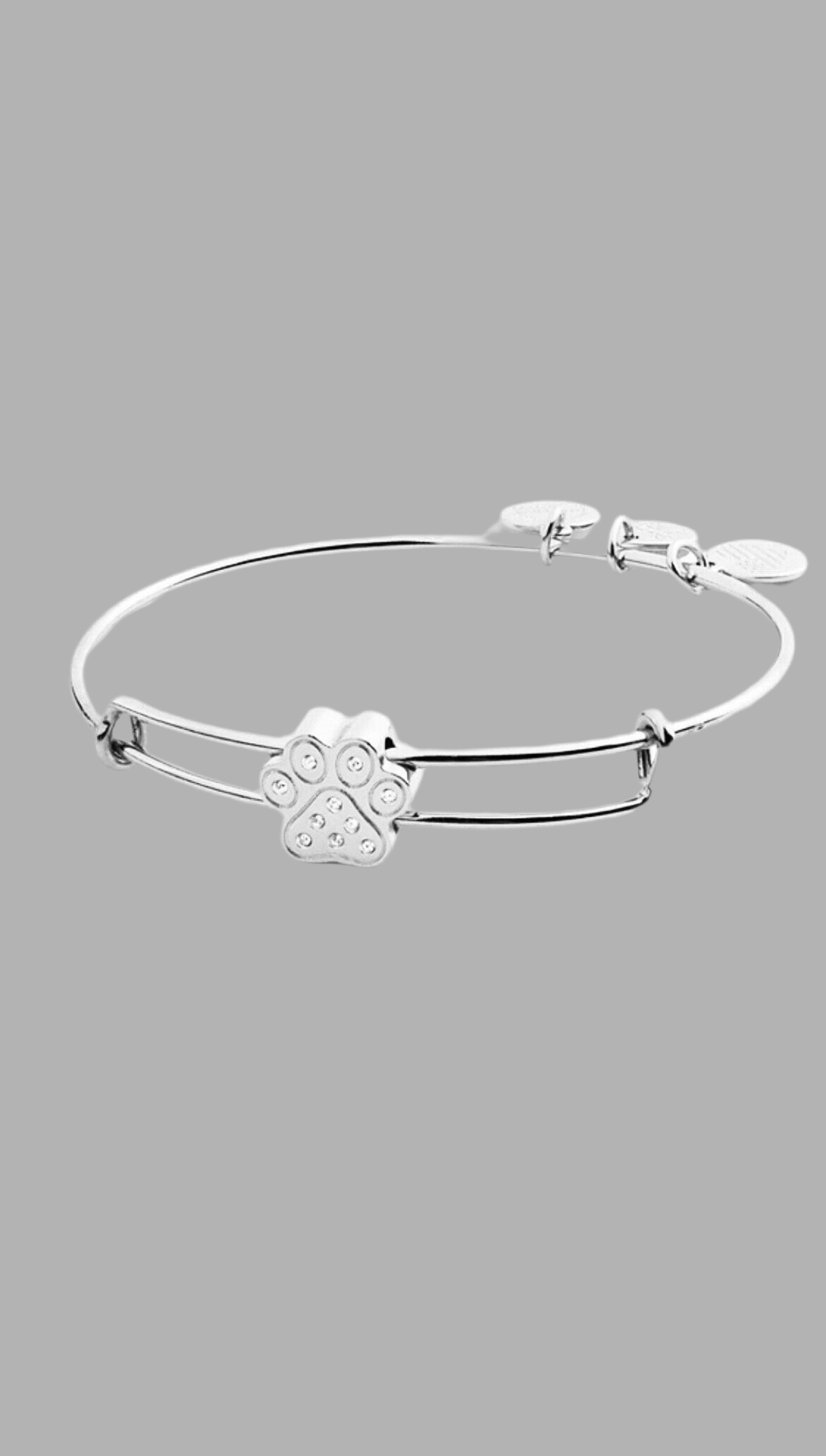Alex and Ani - Pavé Paw Prints Symbol Bead Slider Charm Bangle, Swarovski Crystals