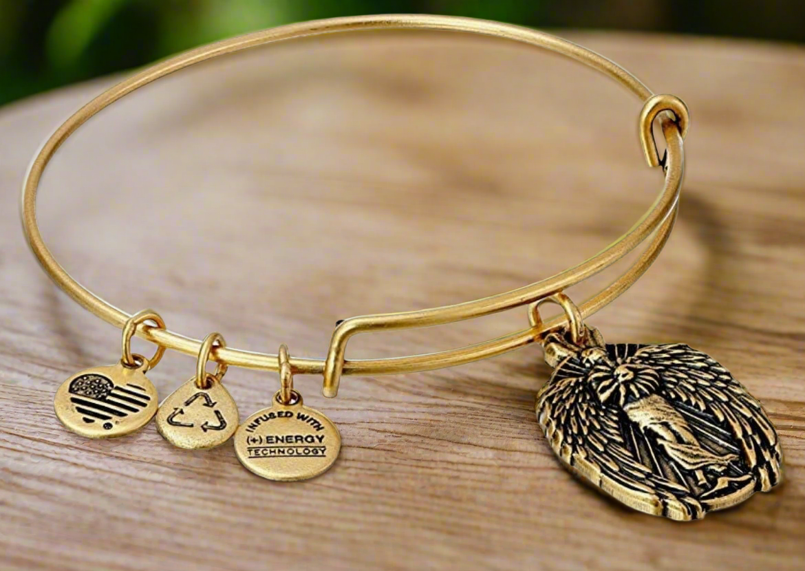 Alex and Ani - Guardian of Knowledge, Enlighten Me Charm Bangle Bracele