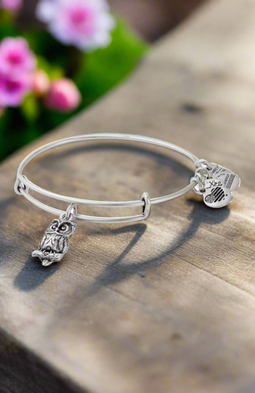 Alex and Ani - Owl Charm Bangle Bracelet