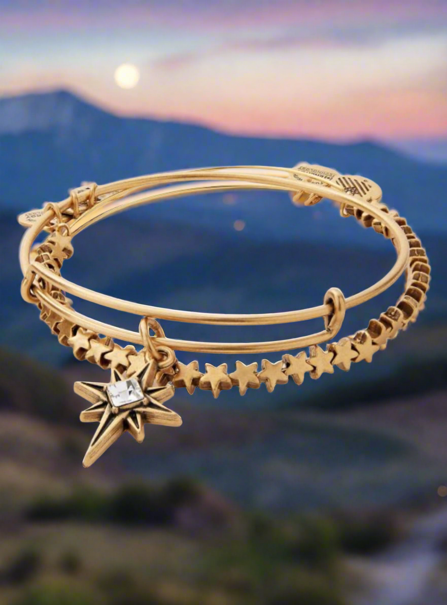 Alex and Ani - North Star Charm Bangle Bracelet Set
