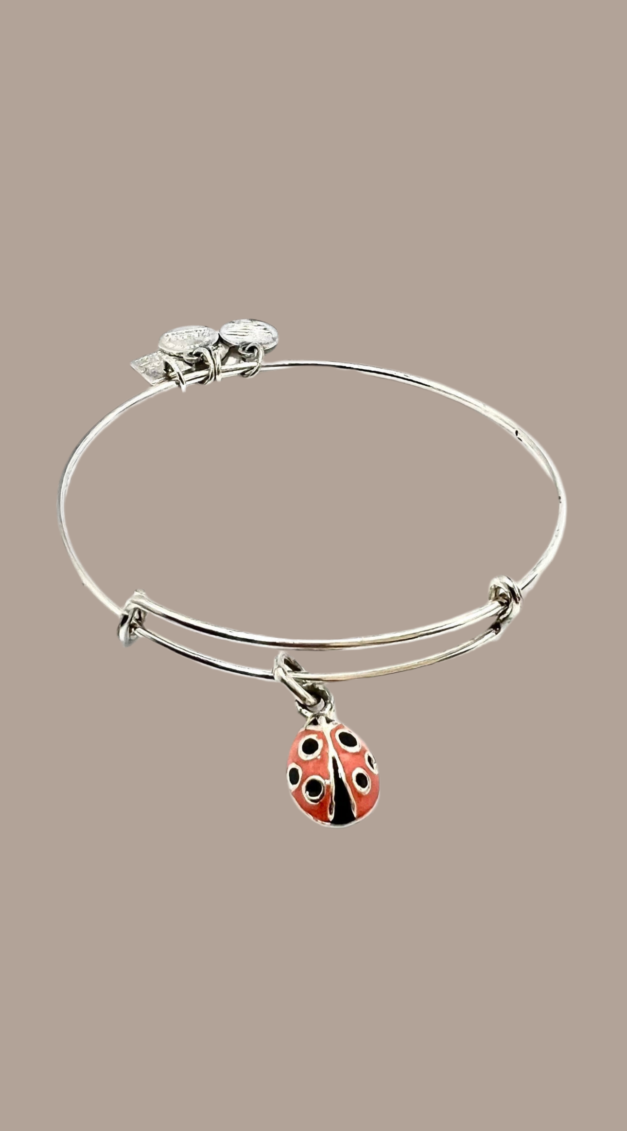 Alex and Ani - The Lady Bug Charm Bracelet Bangle, Color Infusion