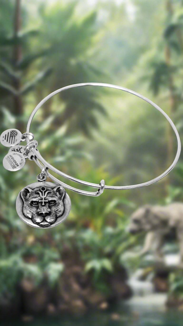 Alex and Ani - Wild Heart Charm Bangle Bracelet