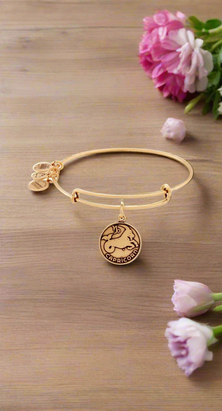 Alex and Ani - Capricorn, 12/21-01/20, Zodiac Sign Charm Bangle Bracelet