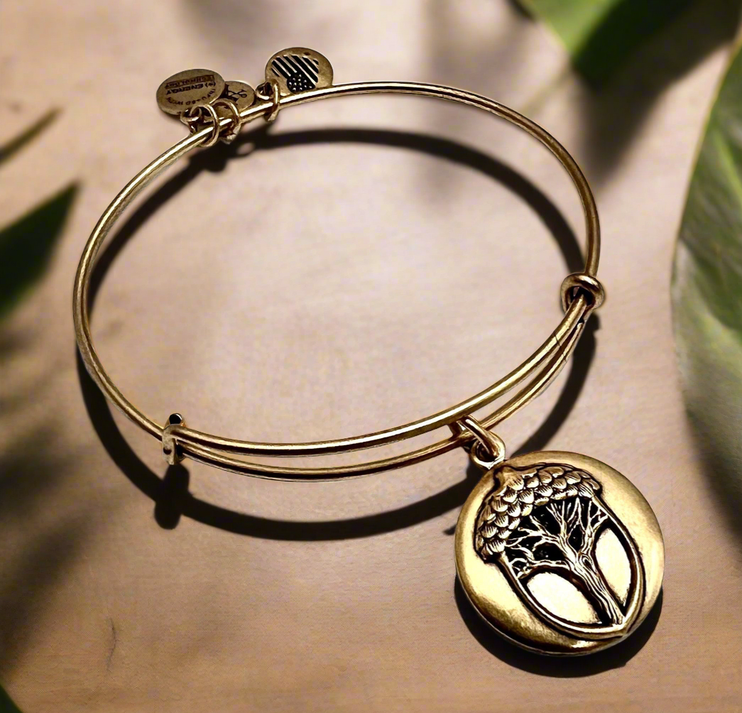 Alex and Ani - Unexpected Miracles Charm Rafaelian Gold Bangle Bracelet Embossed