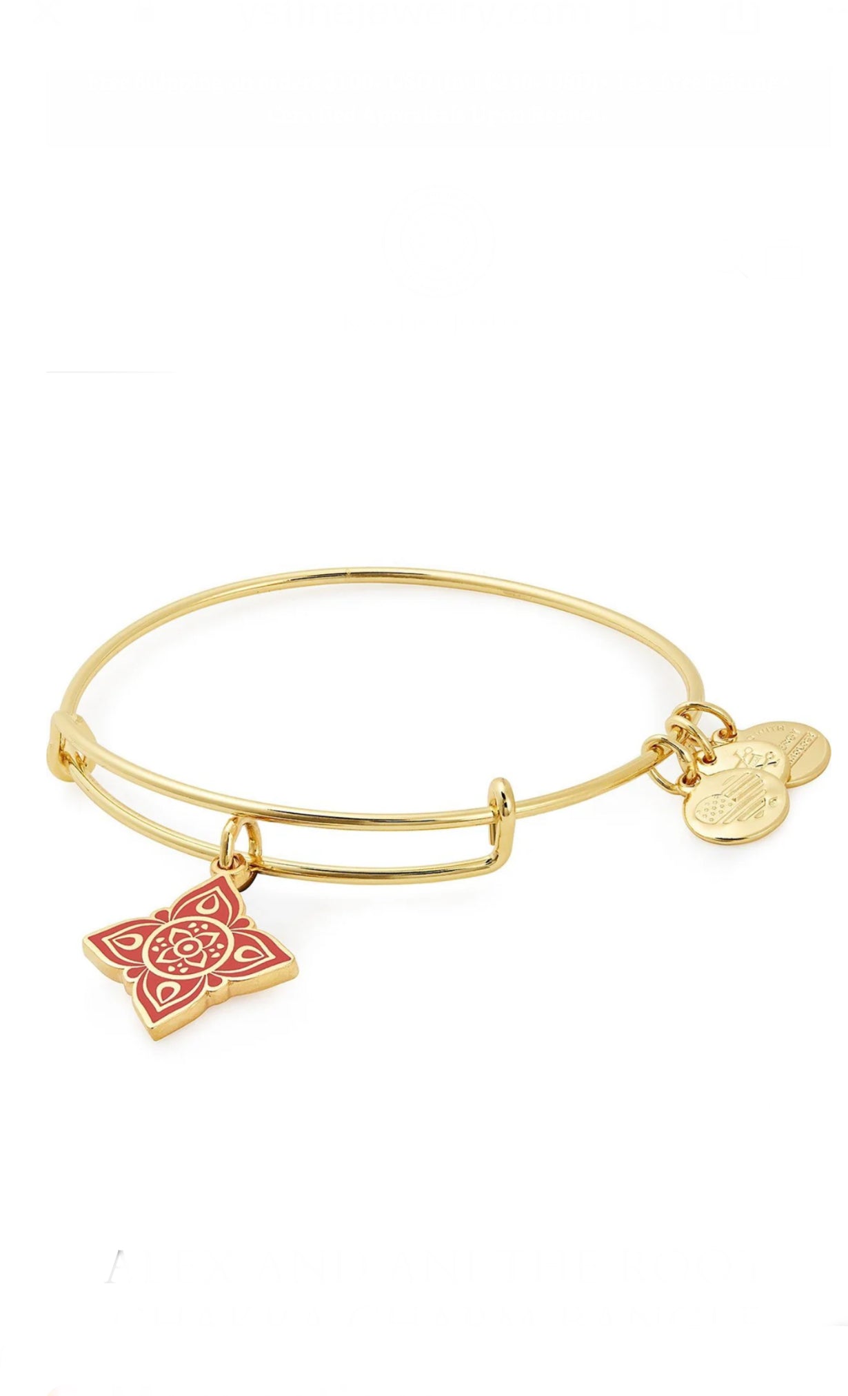 Alex and Ani - Root Chakra Charm Bangle Bracelet