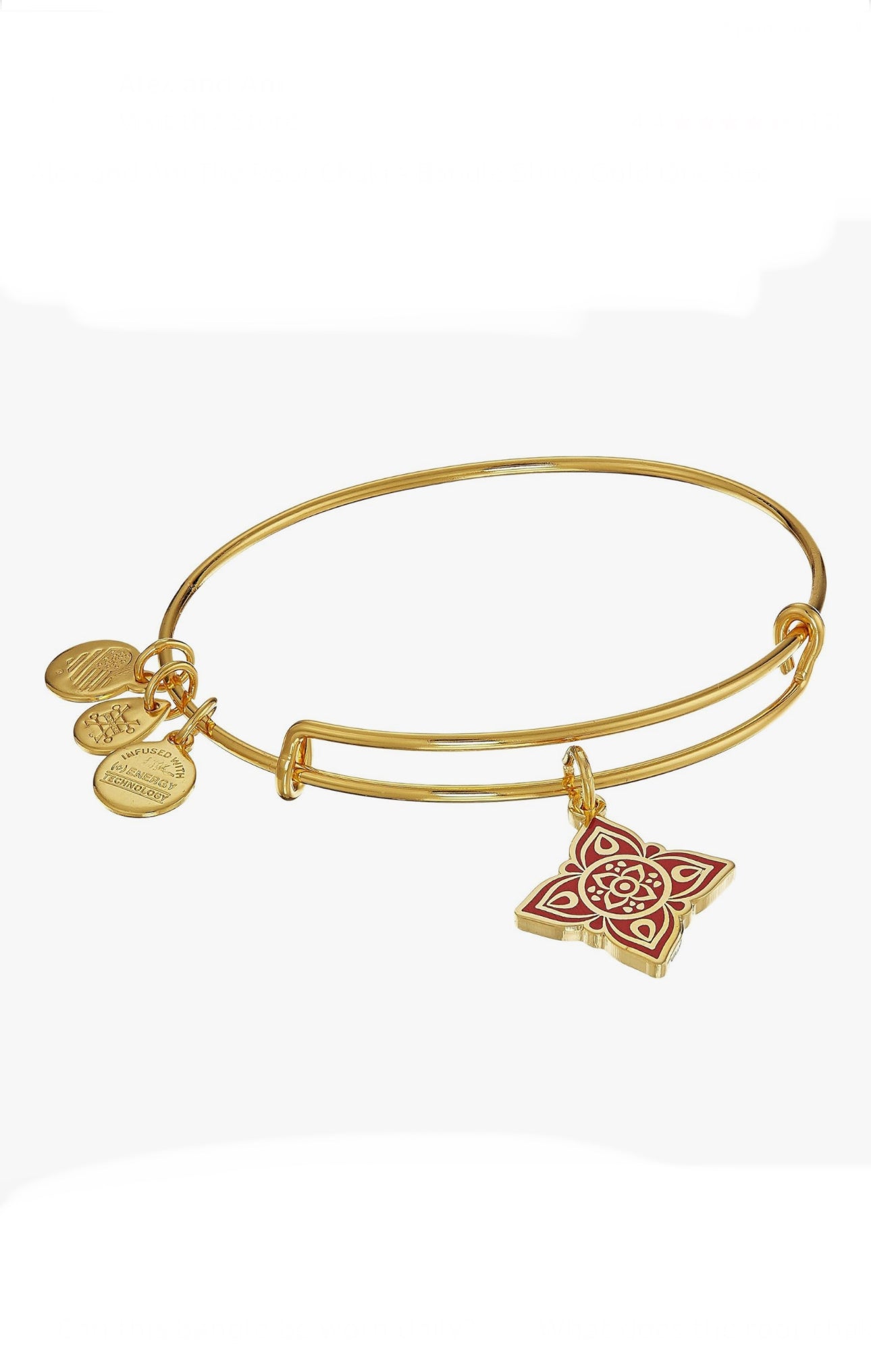 Alex and Ani - Root Chakra Charm Bangle Bracelet