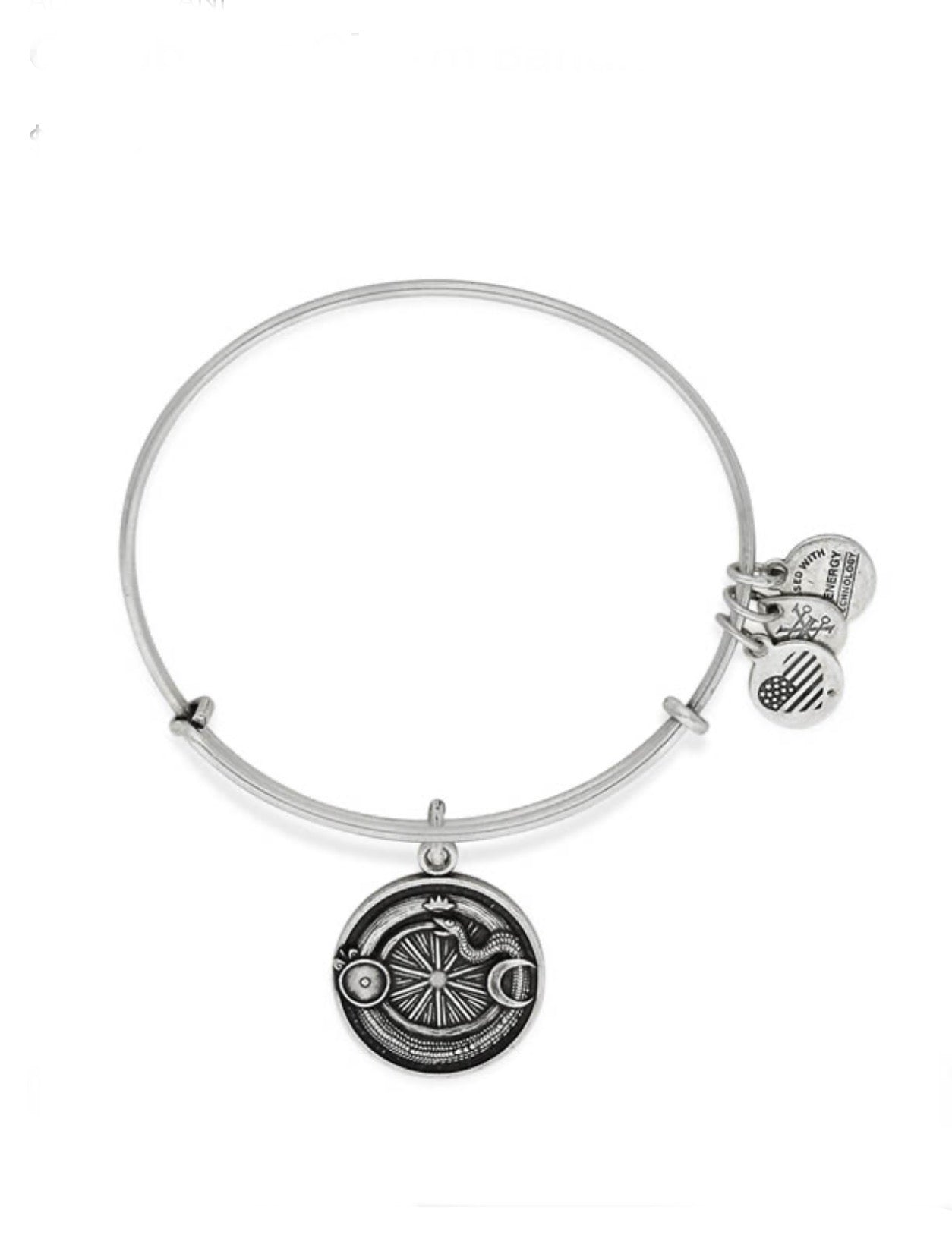 Alex and Ani - Ouroboros Charm Bangle Bracelet