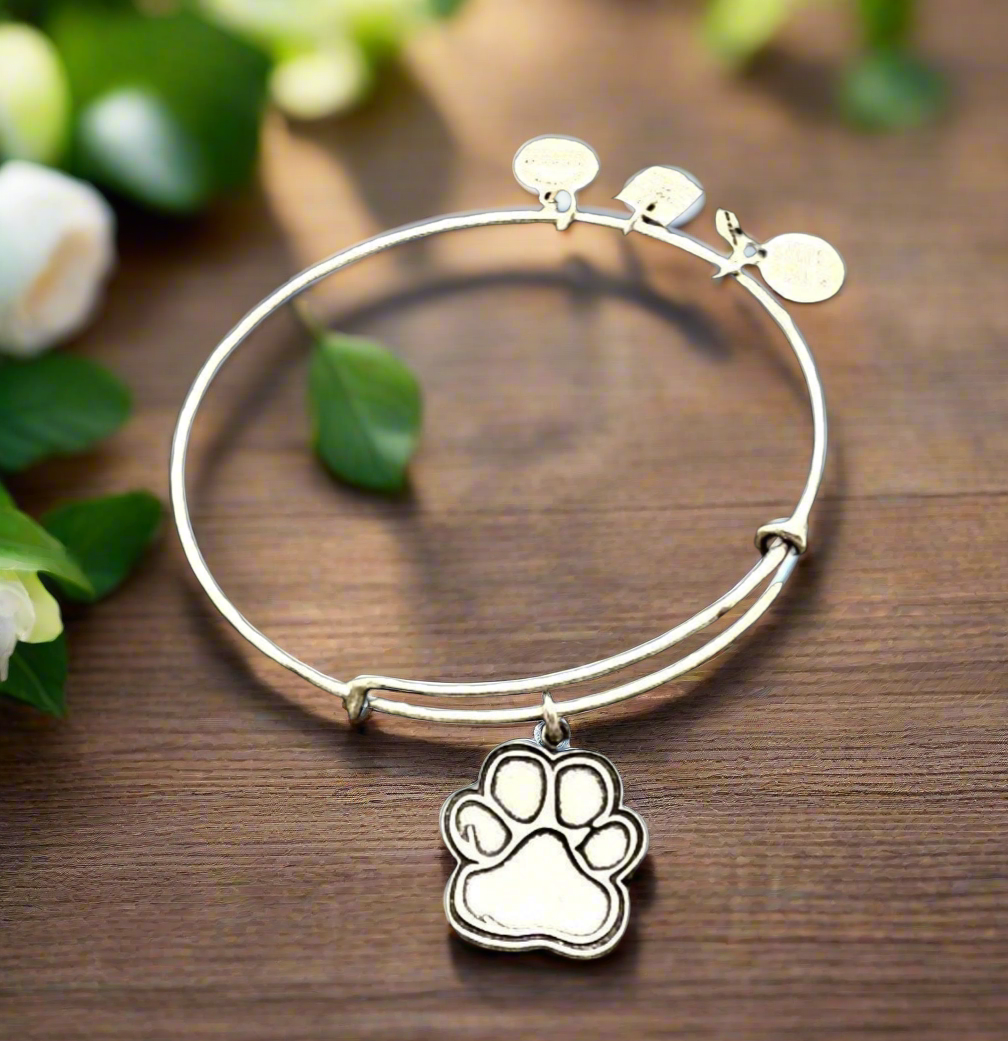 Alex and Ani - Prints of Love Charm Bangle