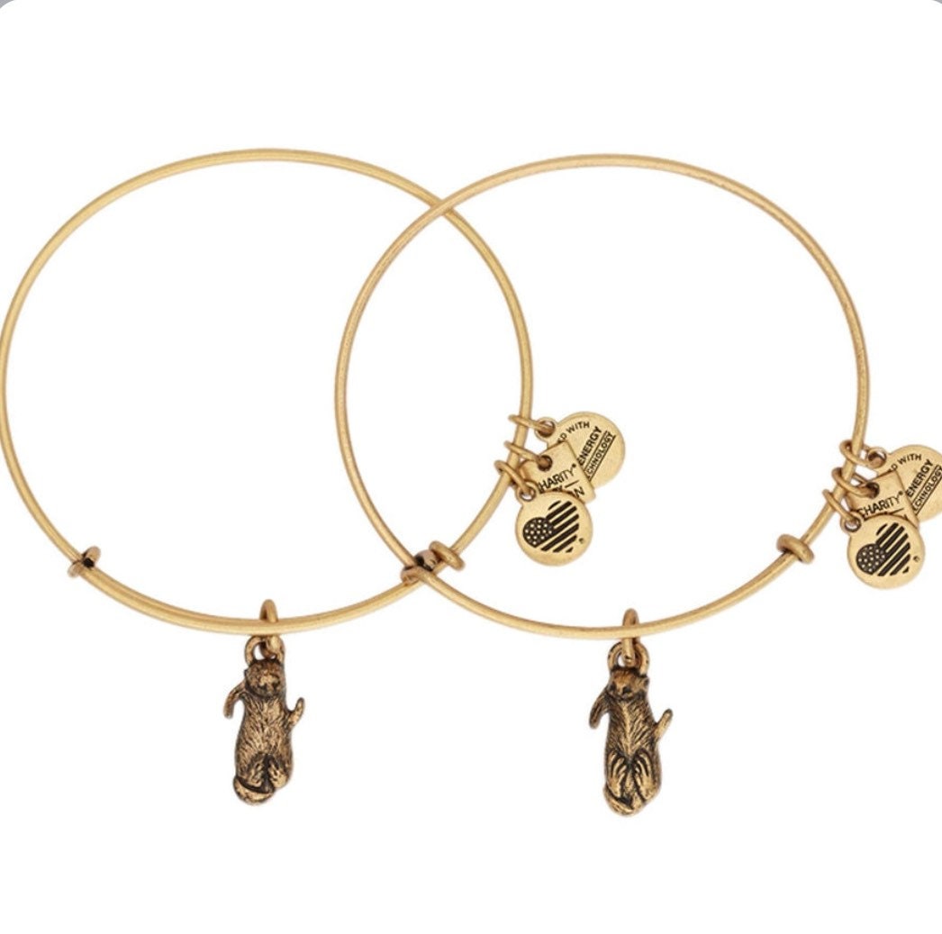 Alex and Ani - Charity by Design, Pair of Otters, 2 Bracelets