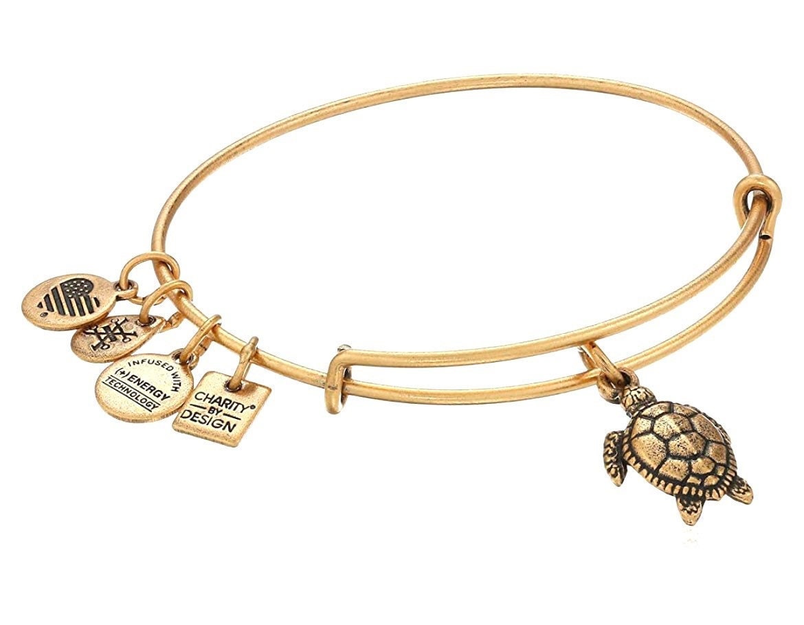 Alex and Ani - Sea Turtle Charm Bangle Bracelet