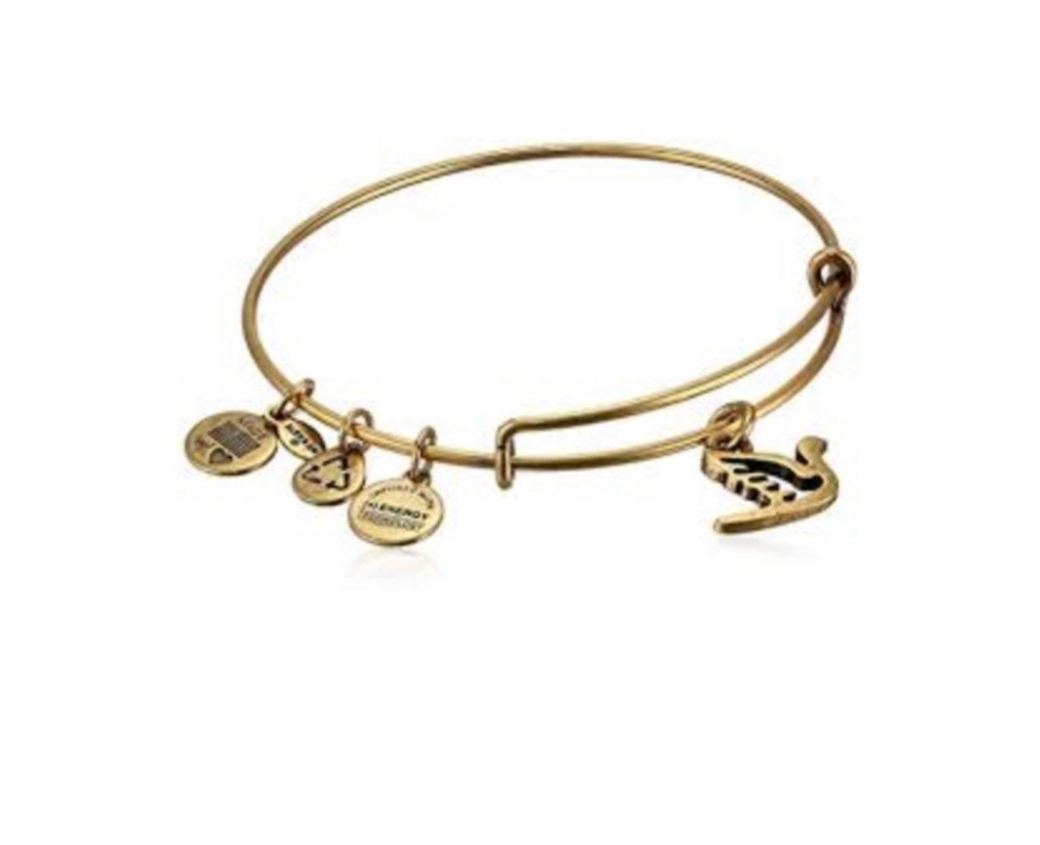 Alex and Ani - Sacred Dove Charm Bangle Bracelet
