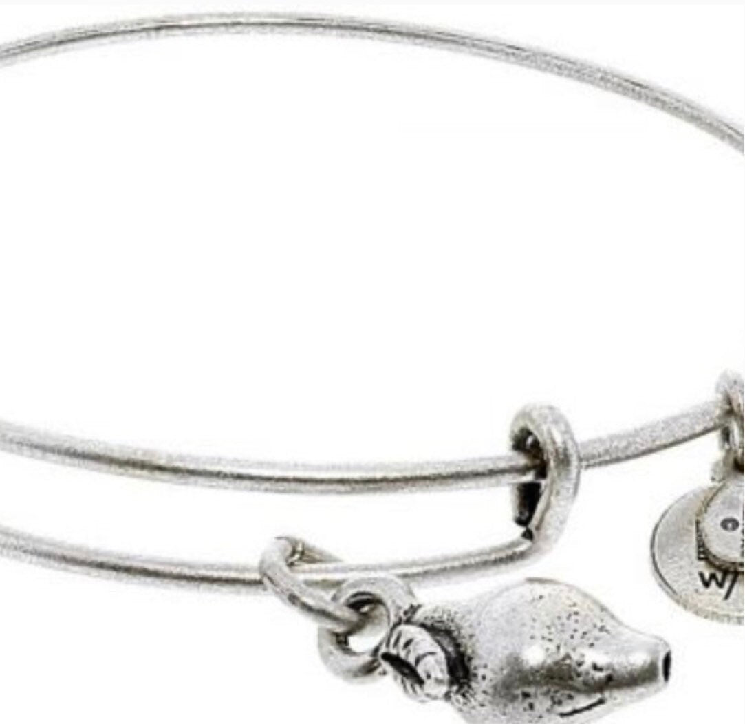 Alex and Ani - Lemon Charm Charm Bangle, Pediatric Cancer Awareness, Rafaelian Gold, Stackable Bracelet, Collectors Gift for Her