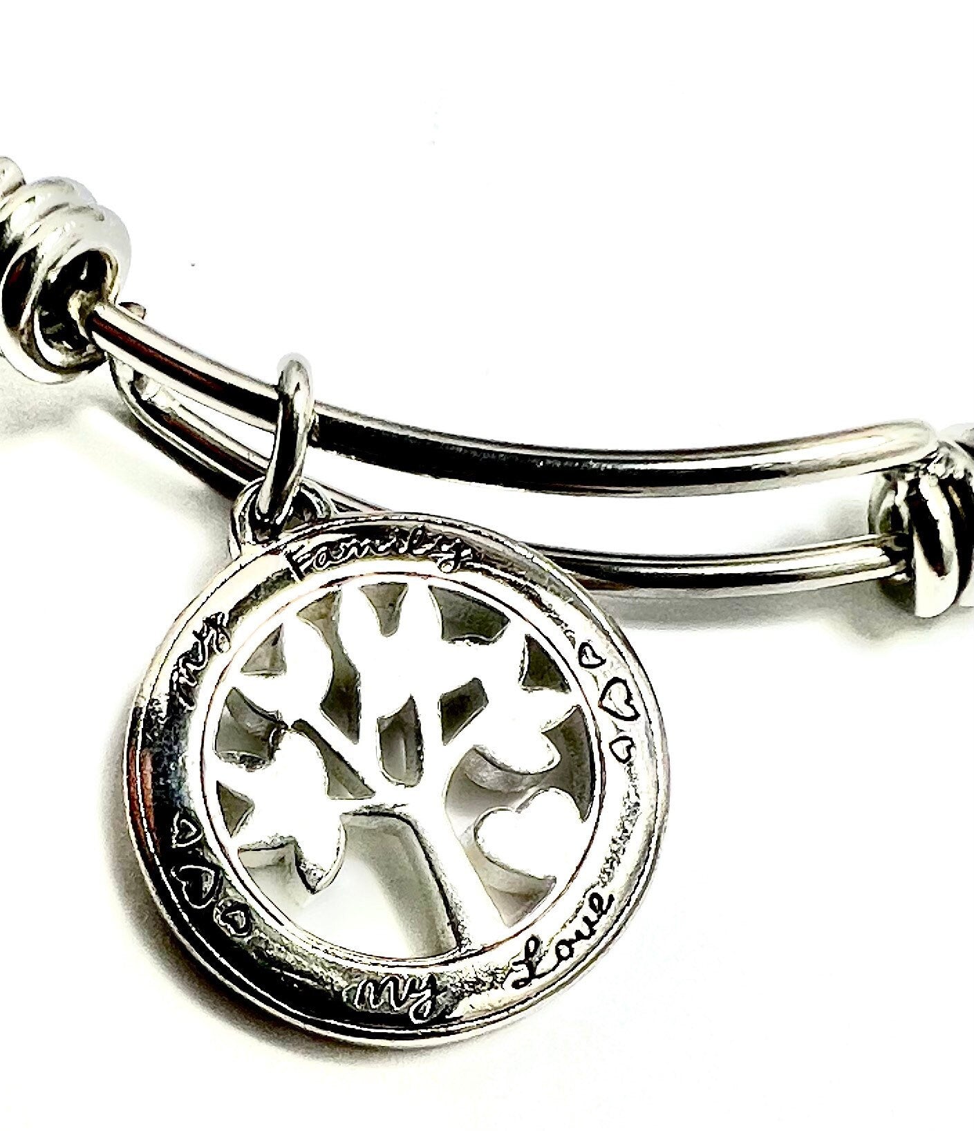 My Family, My Love Charm, Stainless Steel Family Tree Bangle Bracelet with Two Smaller Charms
