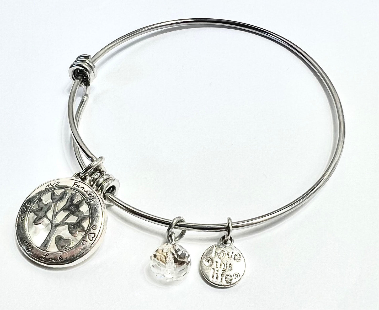 My Family, My Love Charm, Stainless Steel Family Tree Bangle Bracelet with Two Smaller Charms