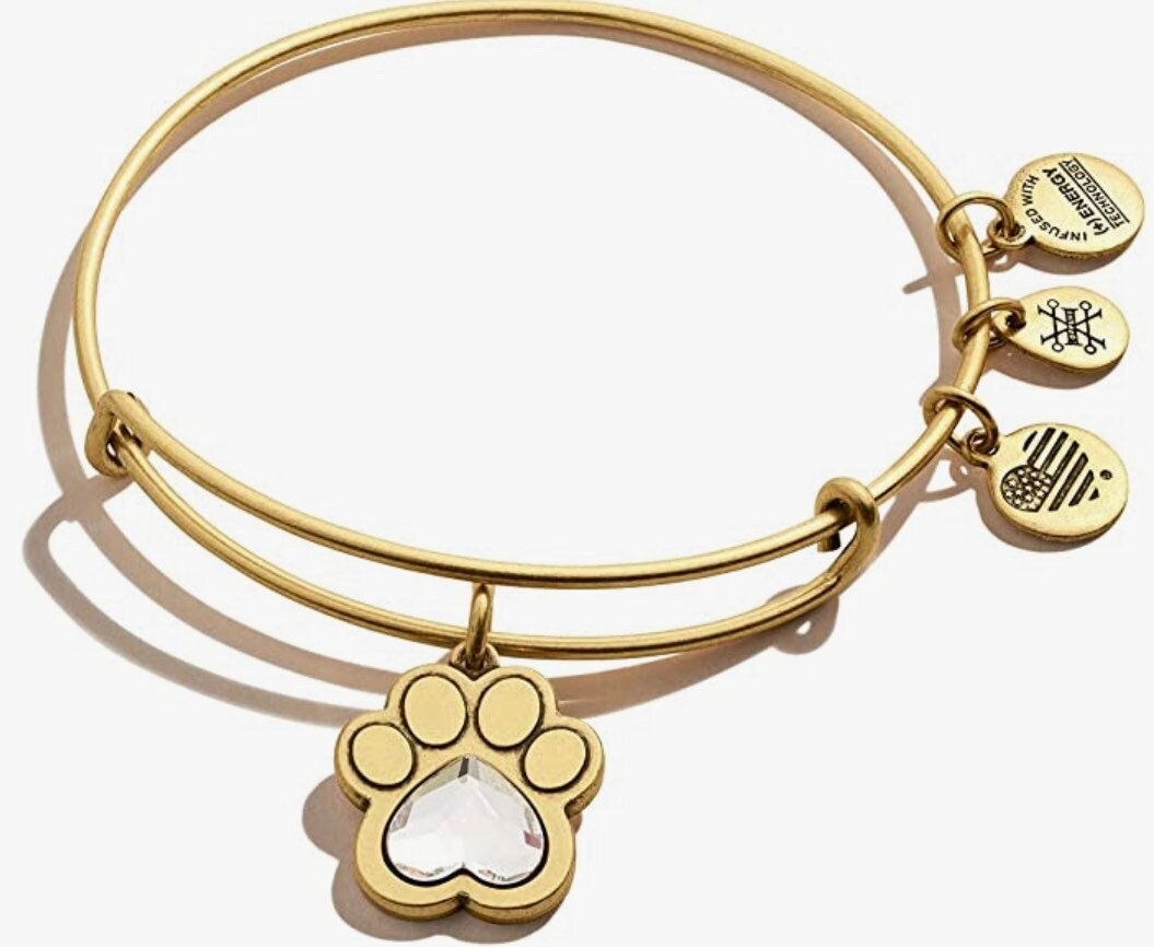Alex and Ani - Prints of Love Charm Bangle