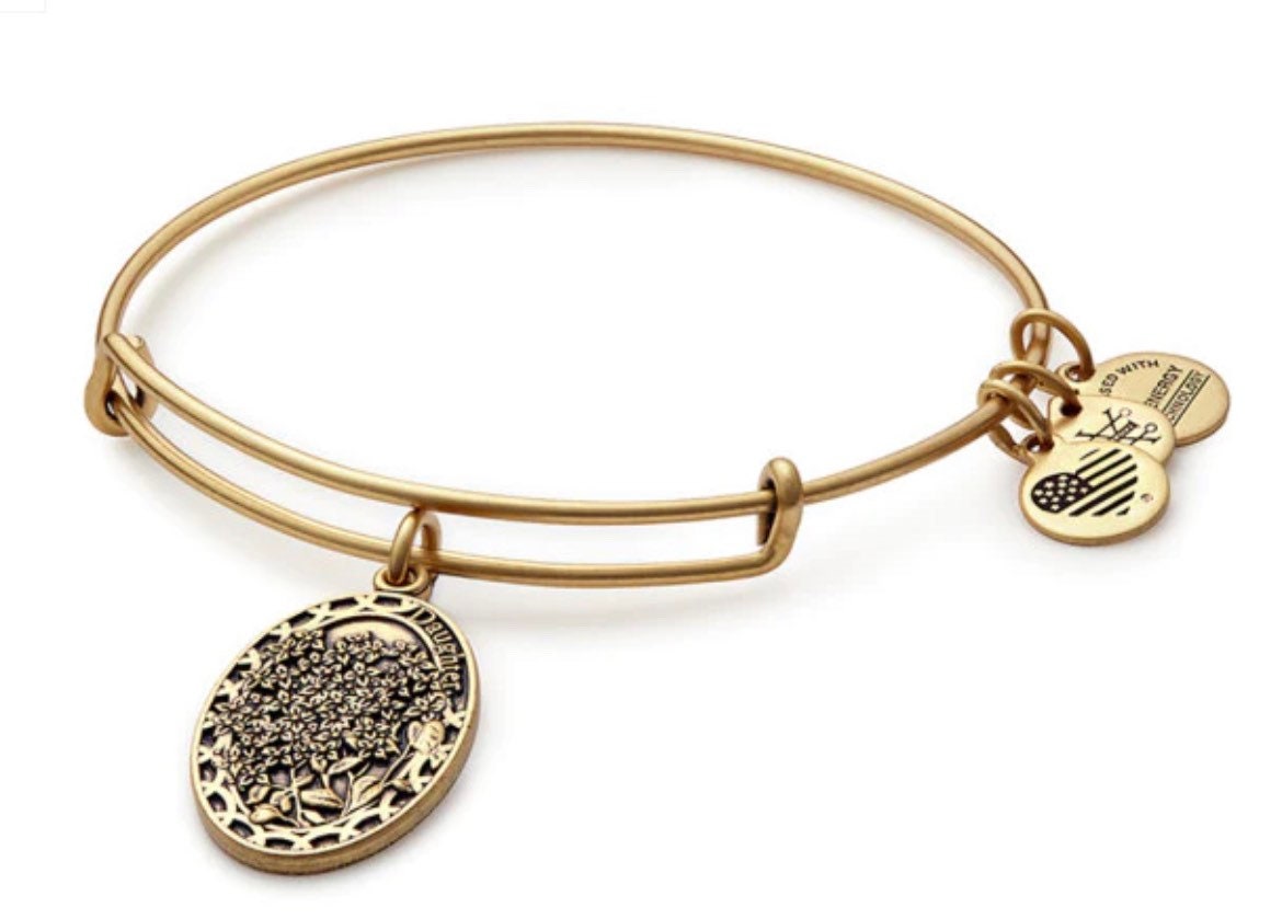 Alex and Ani - Because I Love You Daughter II Charm Bangle Bracelet