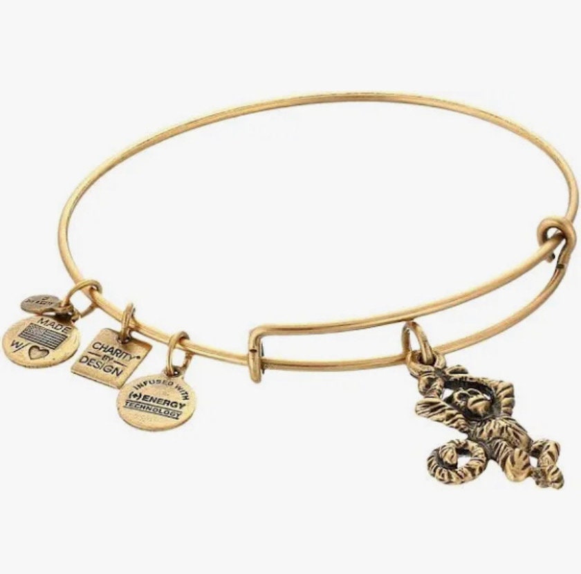 Alex and Ani - Monkey Charm Bangle Bracelet, Charity by Design