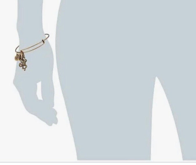 Alex and Ani - Monkey Charm Bangle Bracelet, Charity by Design