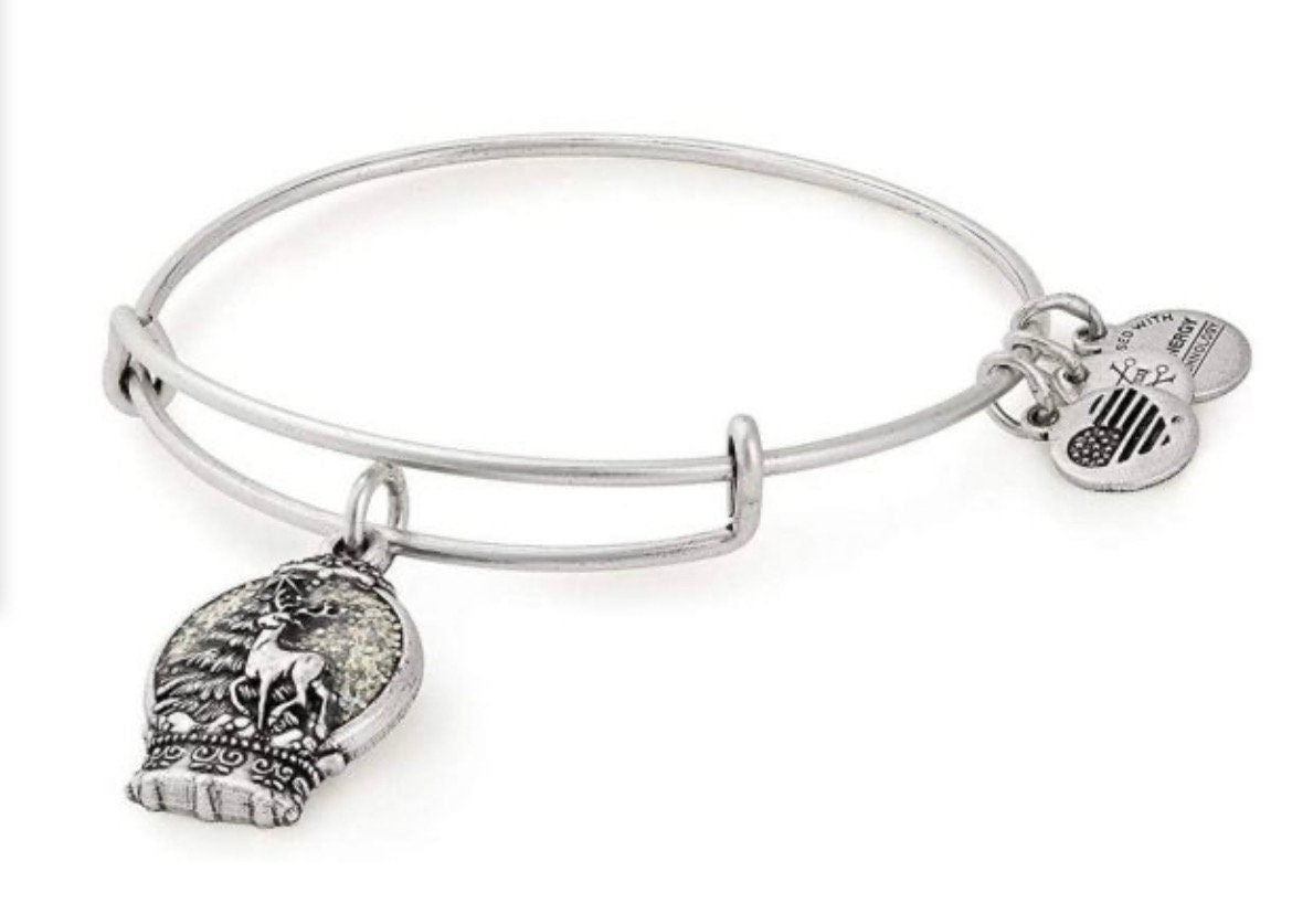 Alex and Ani - Snow Globe Charm Bangle Bracelet