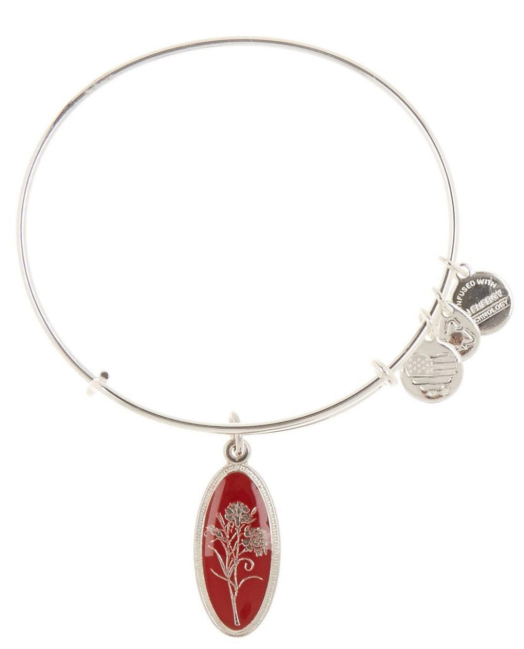 Alex and Ani - Carnation Charm Bangle, January Flower, Shiny Silver/Shiny Gold