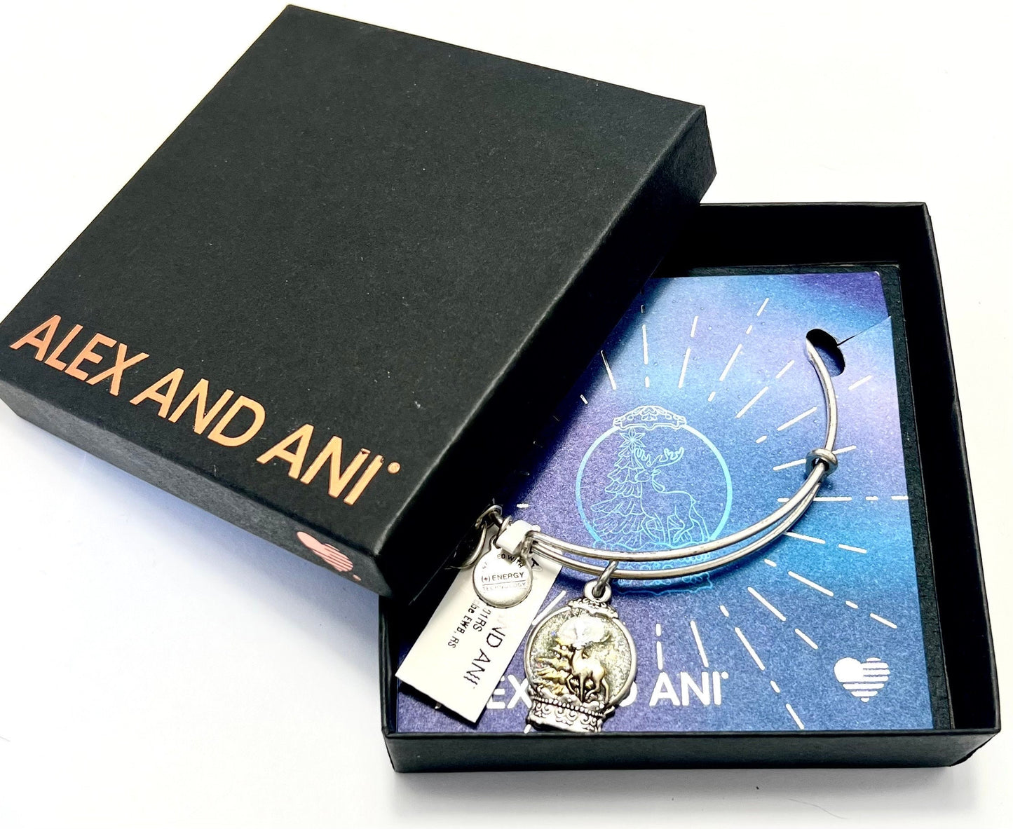 Alex and Ani - Snow Globe Charm Bangle Bracelet