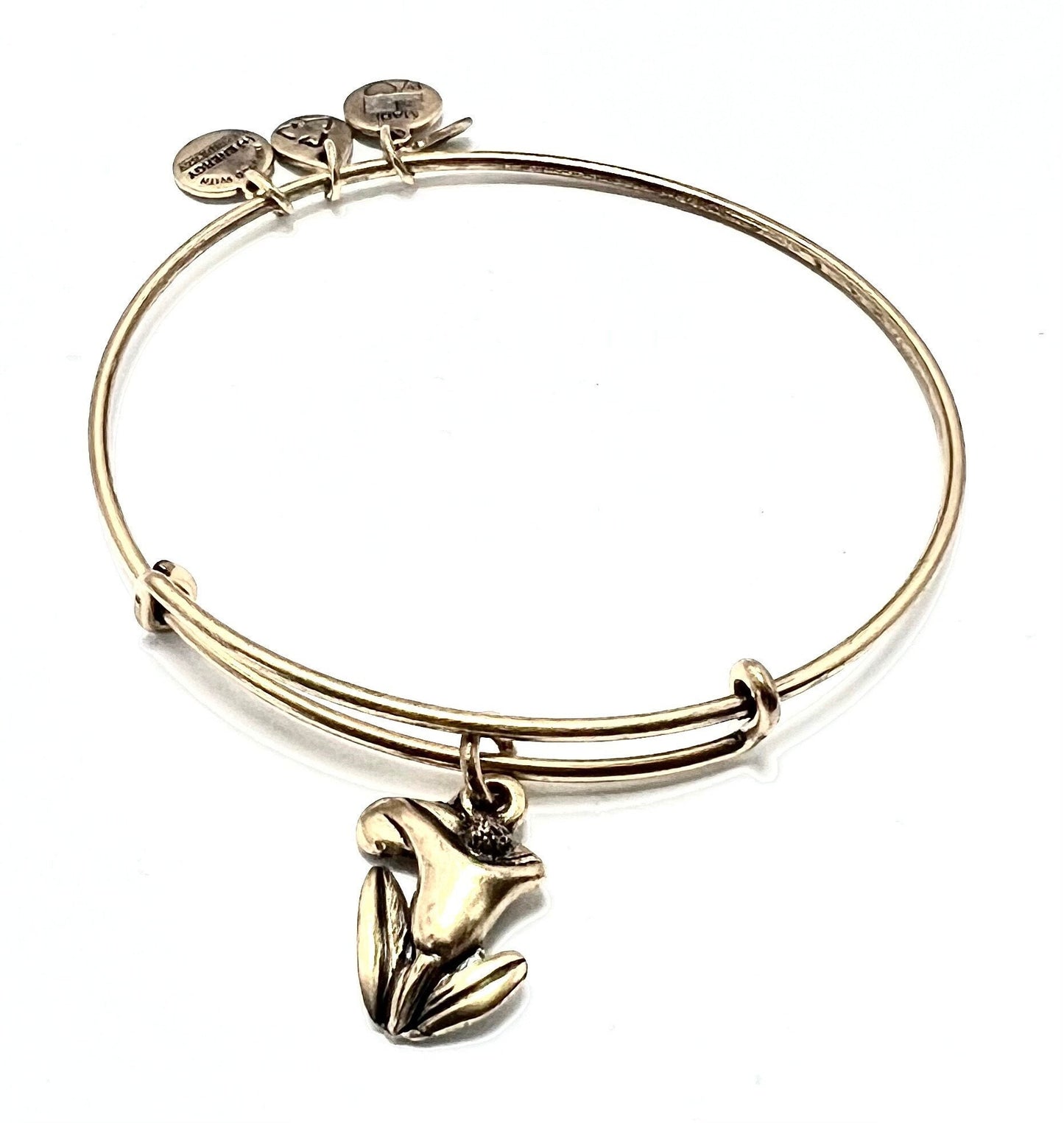 Alex and Ani - Sacred Garden Calla Lily Charm in Rafaelian Gold, Adjustable & Stackable Bangle Bracelet, Collector’s Gift for Her, EUC