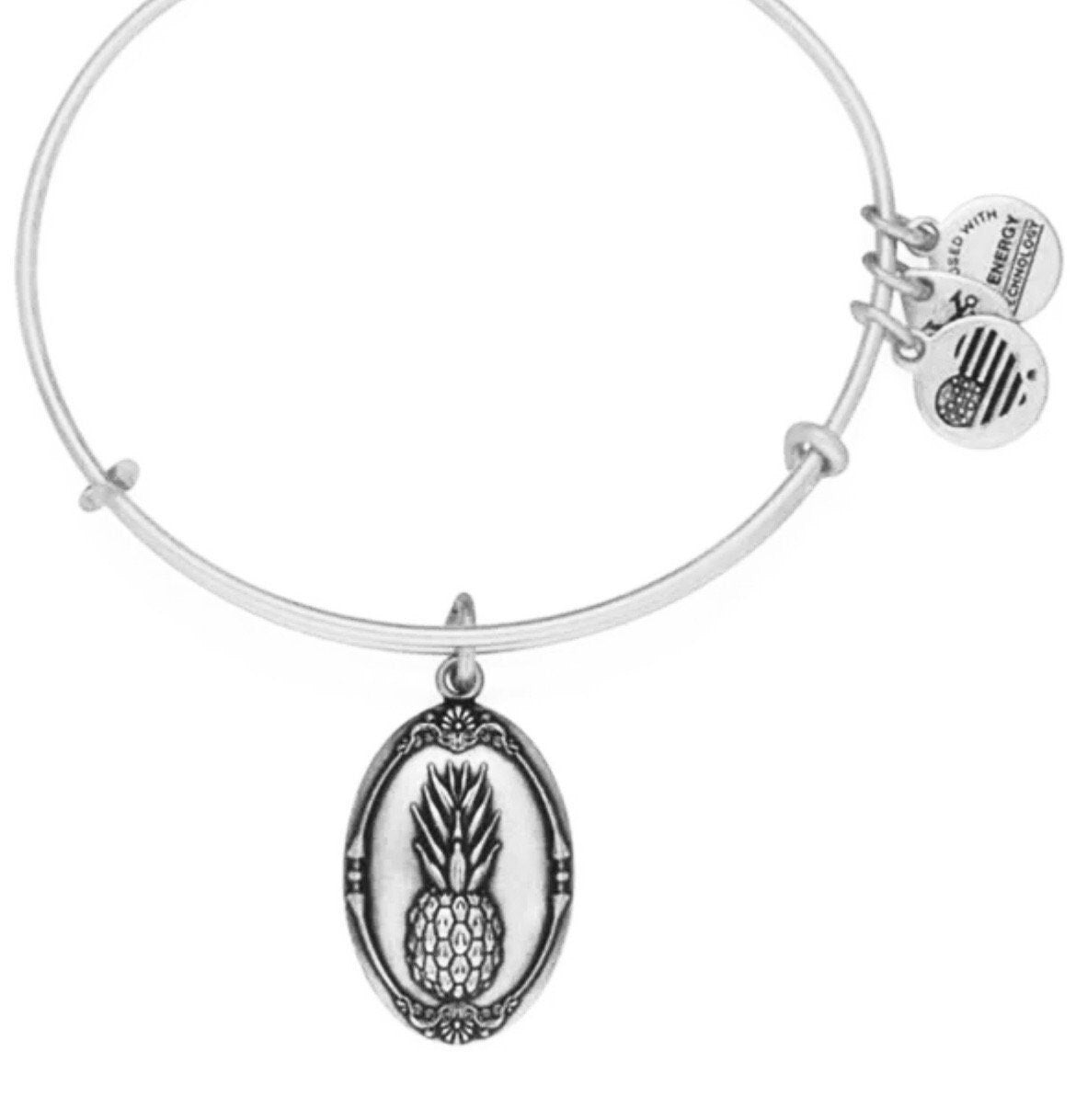 Alex and Ani - Pineapple Charm Bangle Bracelet, Rafaelian Silver/Gold