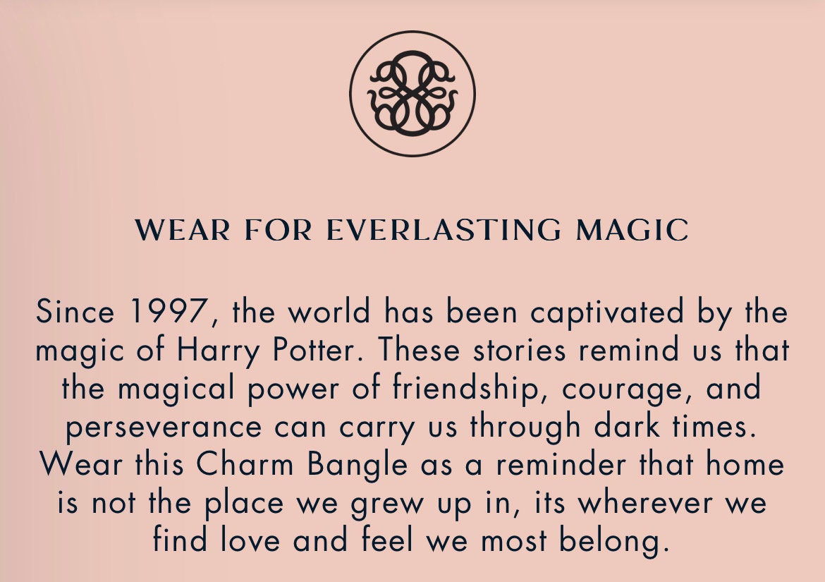Alex and Ani - Harry Potter’s Owl Post Charm Bangle Bracelet