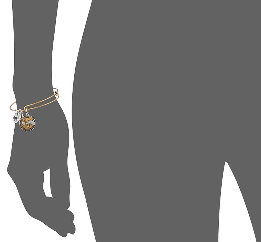 Alex and Ani - Hand in Hand II Bangle Bracelet Rafaelian Gold Charm Bangle