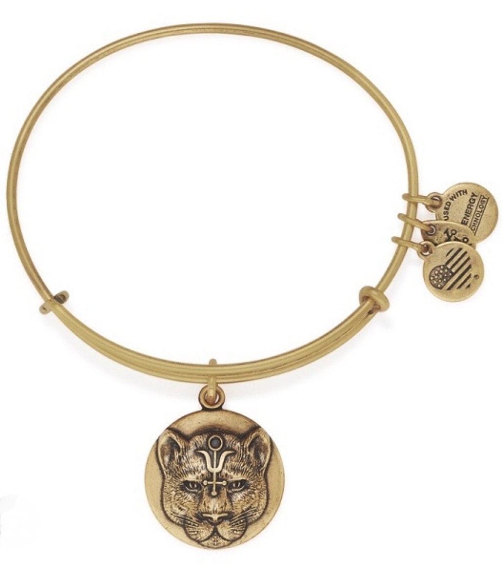 Alex and Ani - Wild Heart Charm Bangle Bracelet
